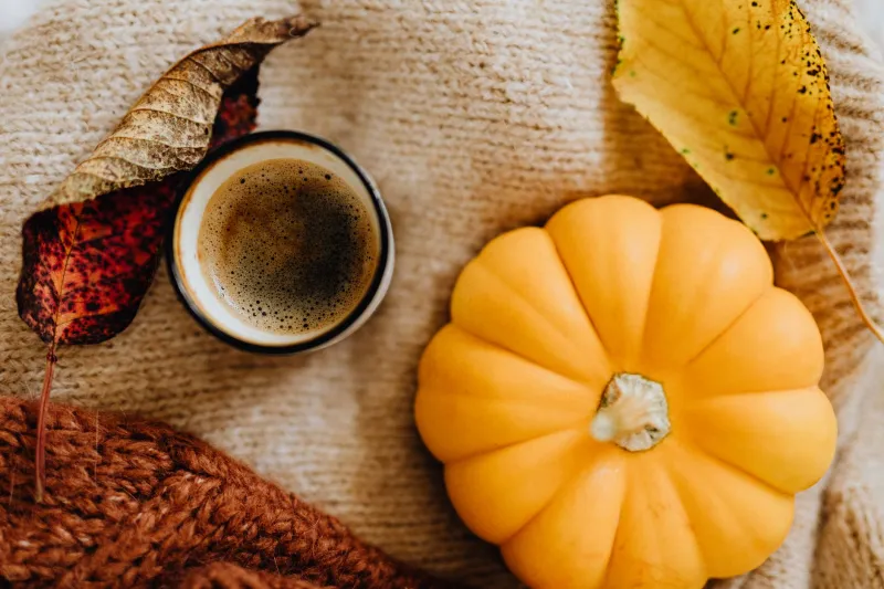 Go Ahead, Order the Pumpkin Spice Latte: A Defense of Loving What You Love Without Apology